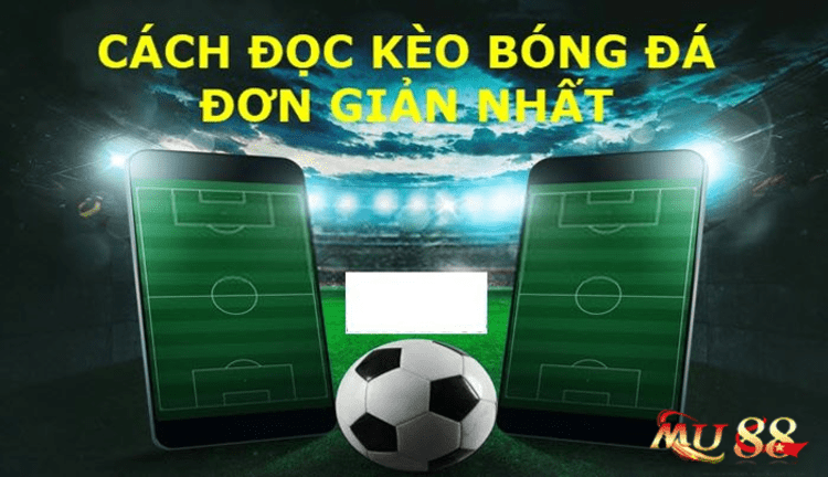 Tỷ lệ kèo bóng đá là gì