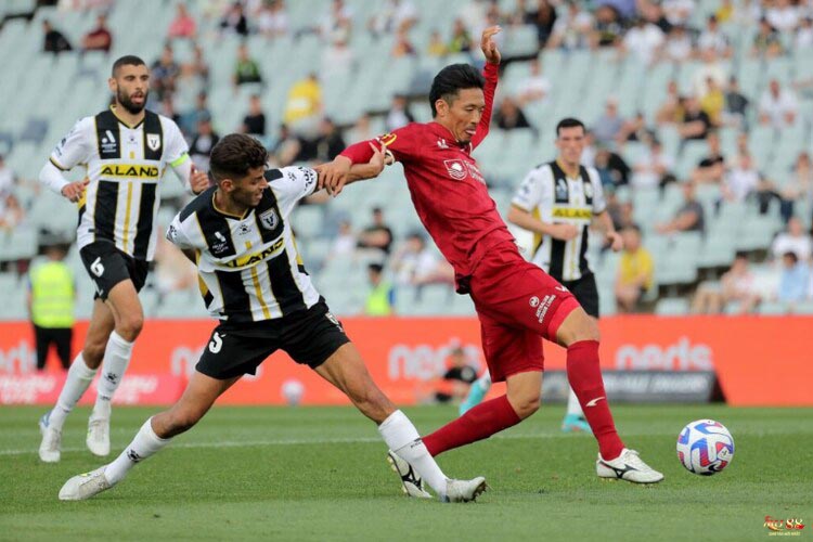 Nhận định chung về 2 đội Sydney FC vs Macarthur FC