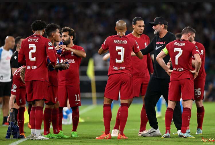 Thông tin chung về 2 đội Liverpool vs Wolves